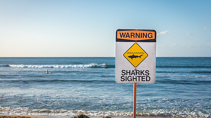 Shark sighting warning sign