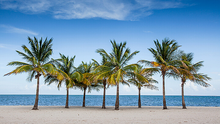 Florida beach