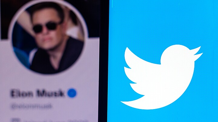 Collage of Twitter and Elon Musk