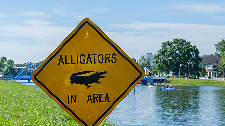 Alligator warning 