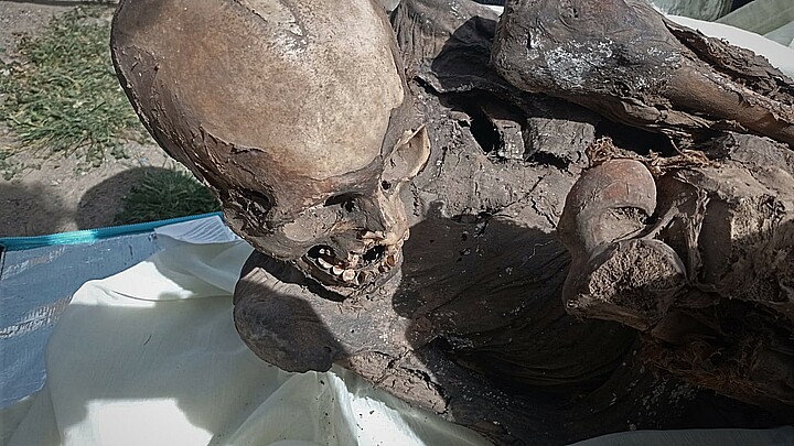 Fotografía cedida por el Ministerio de Cultura, que muestra una momia prehispánica