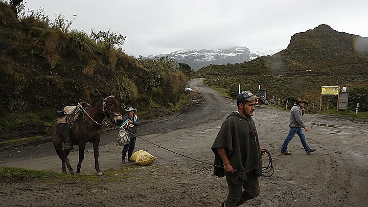 Campesinos salen con sus pertenencias y ganado del Volcán Nevado del Ruiz en Murillo (Colombia)