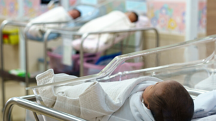 Bebes recién nacido en el hospital