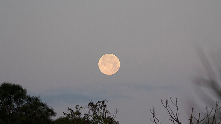 Super luna rosa en el cielo de Florida abril 2020