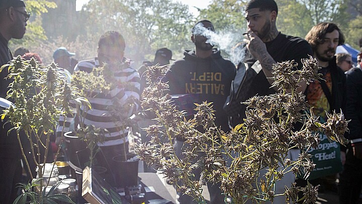 Minnesota se convirtió este martes en el vigésimo tercero del país en legalizar la marihuana para adultos