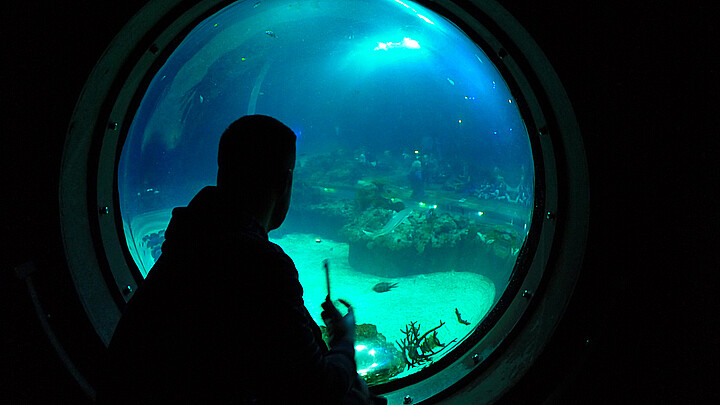 Man looking through underwater window 