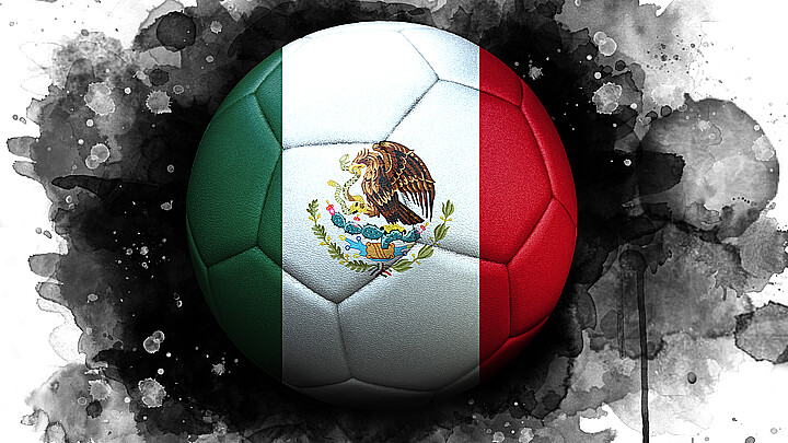 Soccer/Futbol with Mexican flag insignia