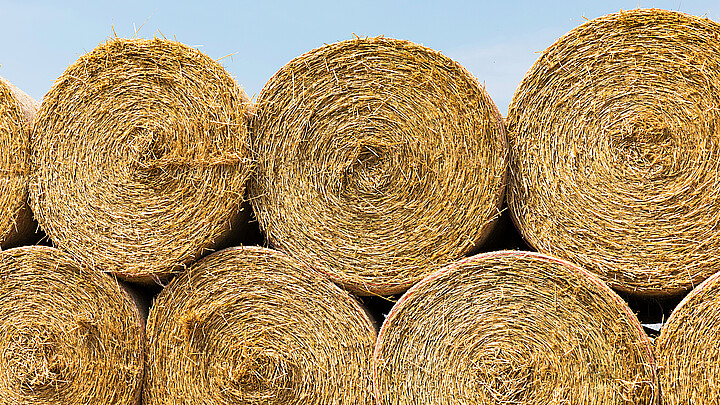 Bales of hay 