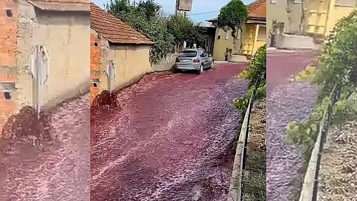 Las calles de un pueblo portugués se inundaron de vino 