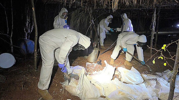 Fotografía cortesía de la Secretaria de Marina (Semar), que muestra integrantes de la Marina mexicana durante un decomiso de un laboratorio clandestino de drogas sintéticas en Sinaloa (México). 