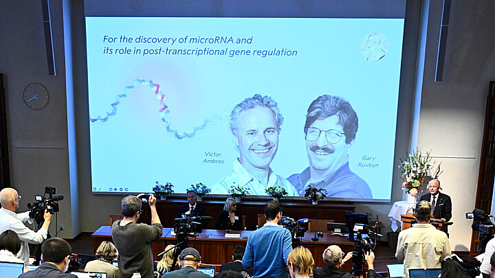 Este lunes se anunció el Nobel de medicina para dos investigadores estadounidenses 