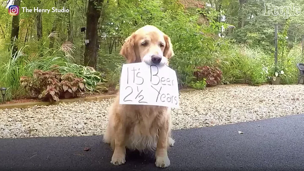 Spencer, un querido golden retriever conocido por animar a los corredores en el maratón de Boston, ha muerto. Él tenía 13 años.