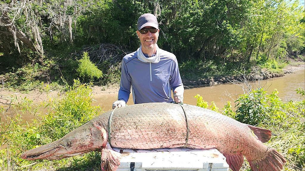 Enorme pez cocodrilo de 251 libras en el Río Trinity, en Texas.