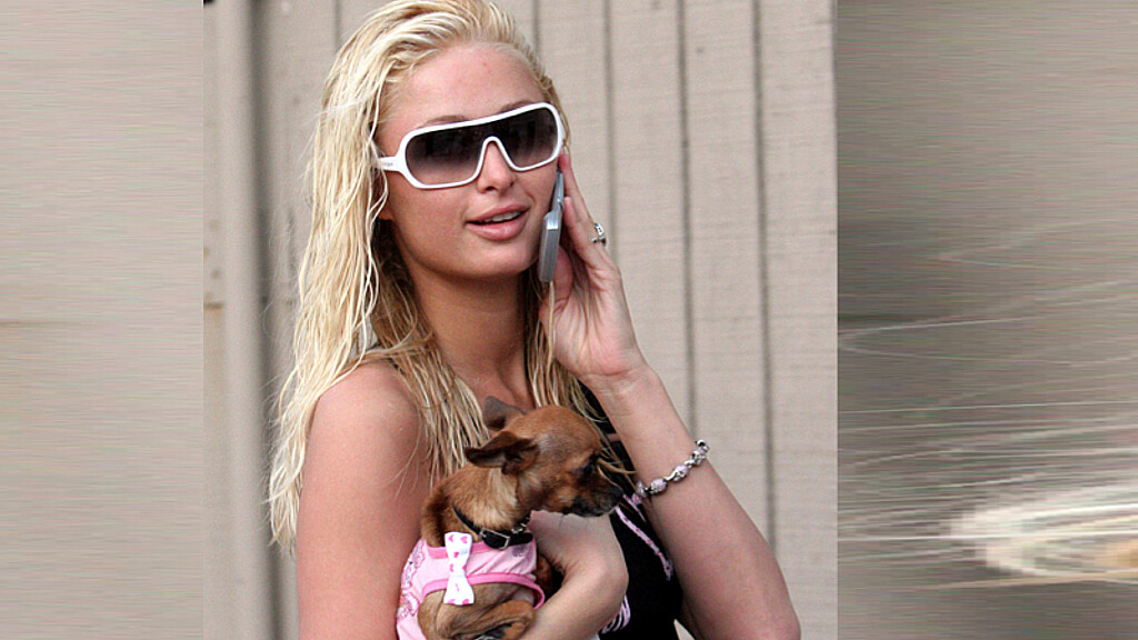 Fallece la chihuahua de Paris Hilton a los 23 años