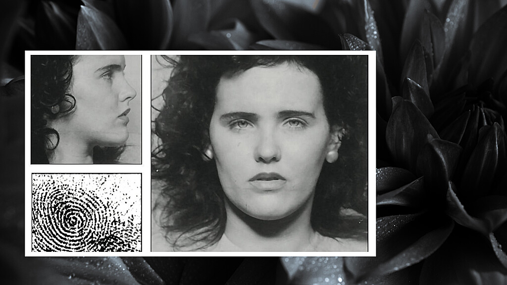 Unraveling the Mystery: The Black Dahlia Murder