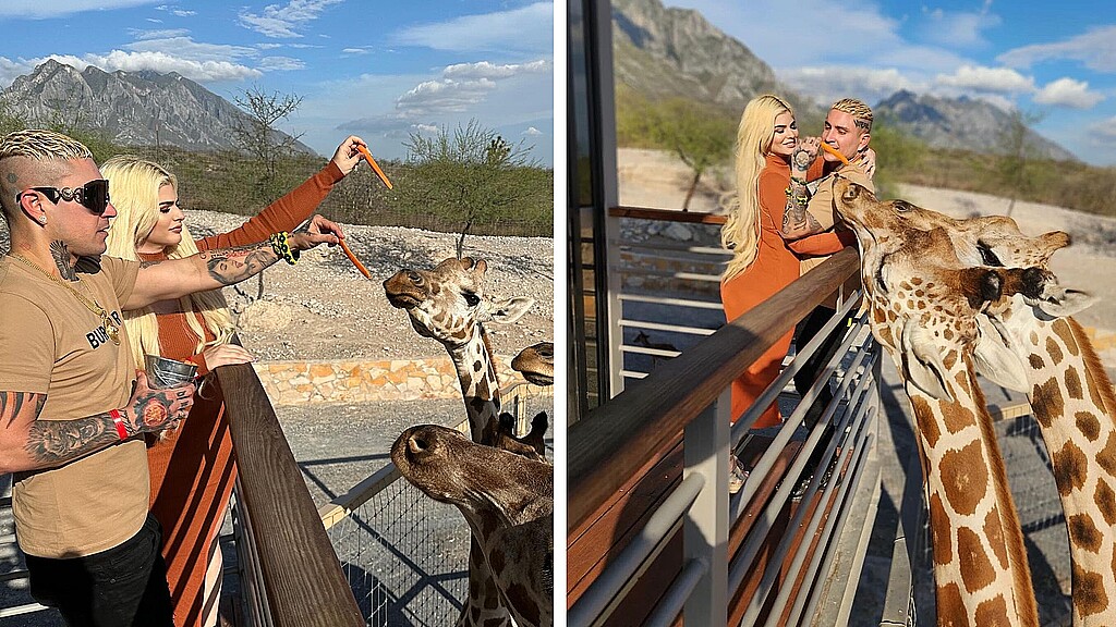 El artista cubano vivió una experiencia particular rodeado de exóticos animales 