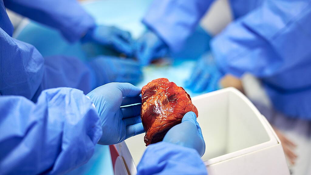 Los grupos recolectores de órganos en EE.UU. están bajo investigación 