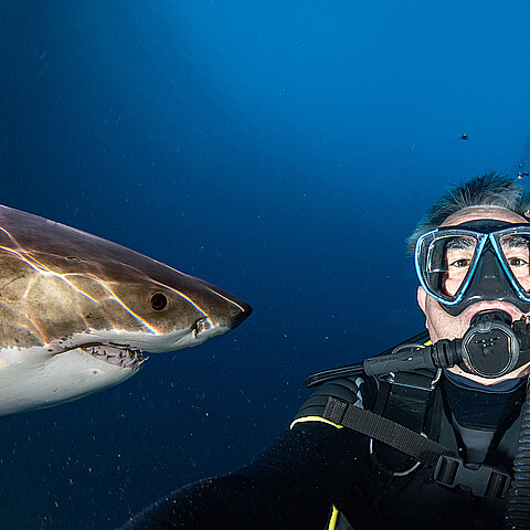 Buzo fue decapitado tras el ataque fatal de un tiburón