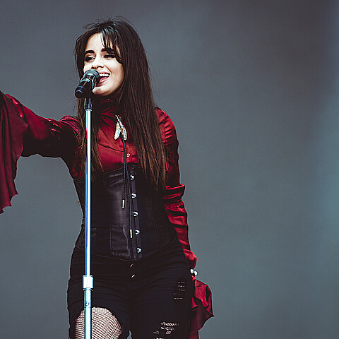 Camila Cabello rompe con su novio de 8 meses, el ejecutivo Austin Kevitch