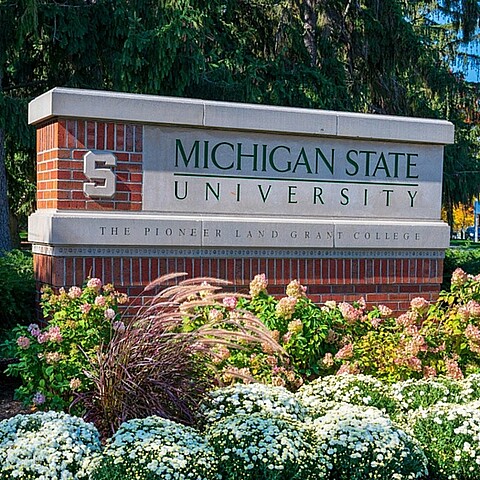 Universidad Estatal de Michigan