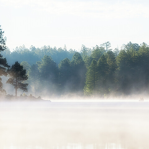 Arizona's Woods Canyon Lake on a cold, misty morning