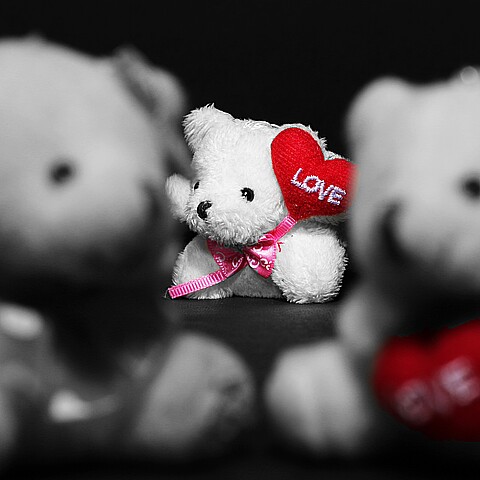 Un oso muñeco macho vino con un globo en forma de corazón