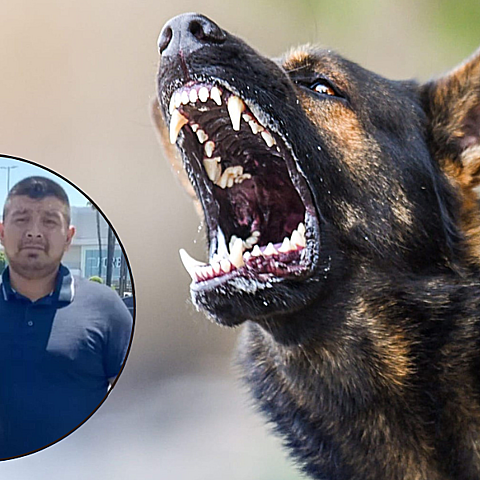 El hombre que fue mutilado hasta la muerte por cuatro perros era nativo de Guatemala. (Lily Schwimmer, GoFundMe)