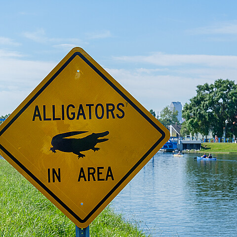 Alligator warning 