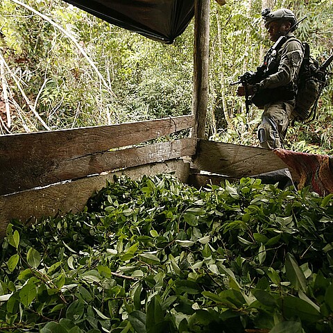 Un comando jungla del ejército de Colombia vigila un laboratorio de procesamiento de pasta de coca