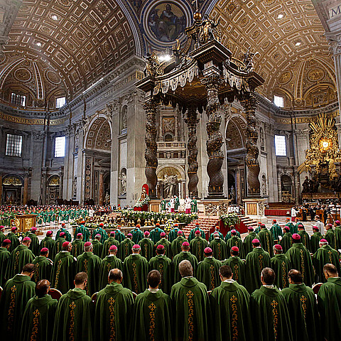 Synod of Bishop