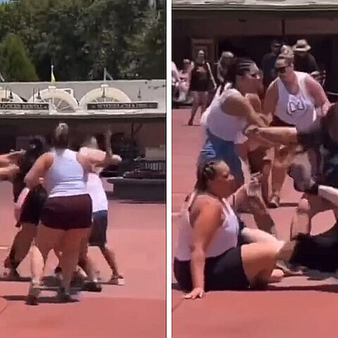 Dos familias se fueron a los golpes en pleno centro de atracciones de Disney