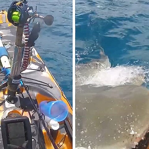 Las impresionantes imágenes del ataque quedaron grabadas por el pescador 