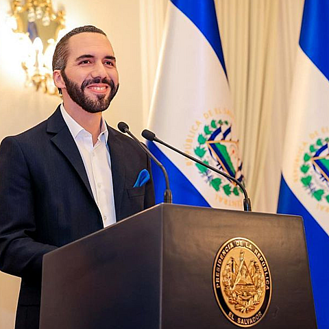 Why is Nayib Bukele so loved within his country and so hated outside his borders by international organizations, NGOs, and other political leaders?