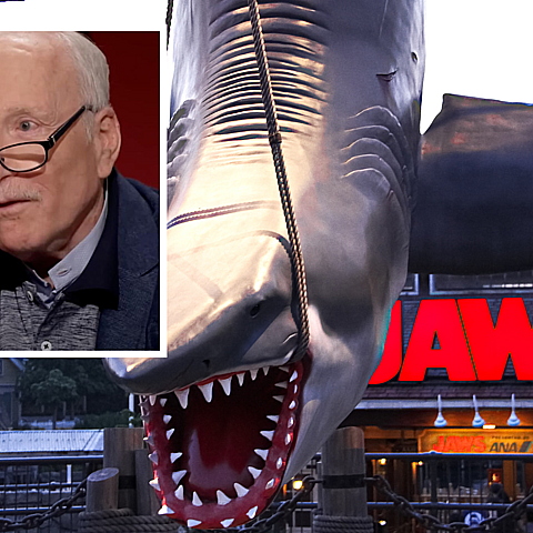 Richard Dreyfuss slams Hollywood's inclusivity standards in PBS interview