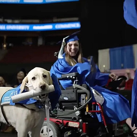 Justin, the service dog for Grace Mariani, was presented with a diploma
