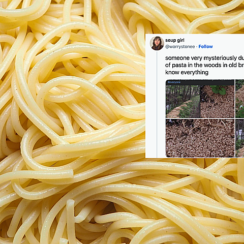 Cientos de libras de pasta cocida aparecieron inexplicablemente a lo largo de un arroyo en un bosque