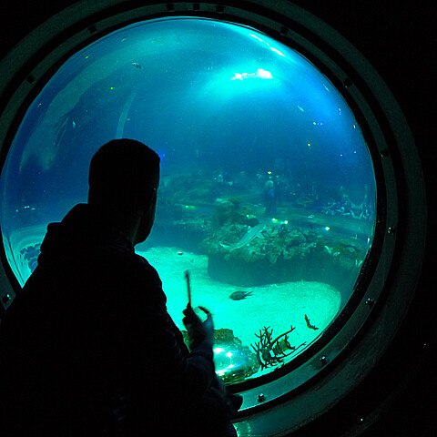 Man looking through underwater window 