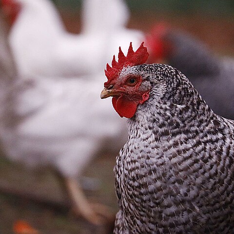 El espeluznante caso estremeció la comunidad española de Jaén 