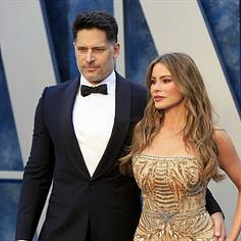 Sofia Vergara divorces after seven years of marriage