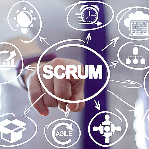 Scrum master