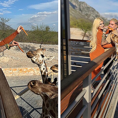 El artista cubano vivió una experiencia particular rodeado de exóticos animales 