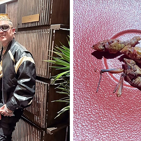 El artista hizo que su esposa probara los famosos grillos mexicanos 