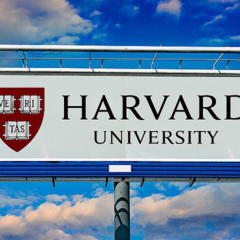 Harvard University