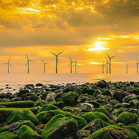 Offshore Wind Turbine in a Wind farm under construction off the England coast at sunset