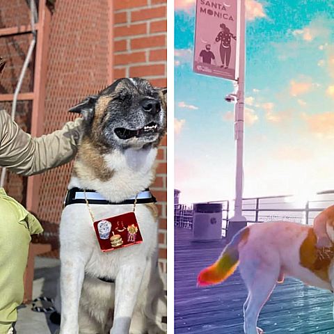 El compañero de J Balvin murió con 14 años. 