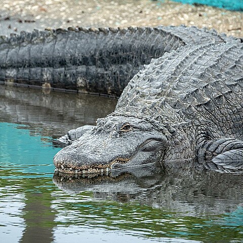 Fotografía de archivo. 