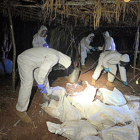 Fotografía cortesía de la Secretaria de Marina (Semar), que muestra integrantes de la Marina mexicana durante un decomiso de un laboratorio clandestino de drogas sintéticas en Sinaloa (México). 