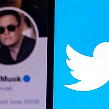 Collage of Twitter and Elon Musk