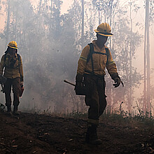 Brigadista combatiendo incendio forestal