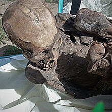 Fotografía cedida por el Ministerio de Cultura, que muestra una momia prehispánica
